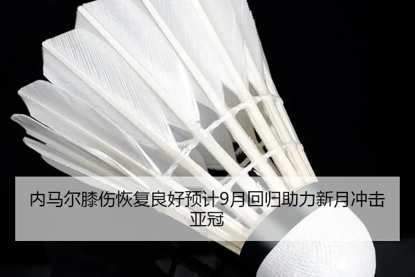 内马尔膝伤恢复良好预计9月回归助力新月冲击亚冠